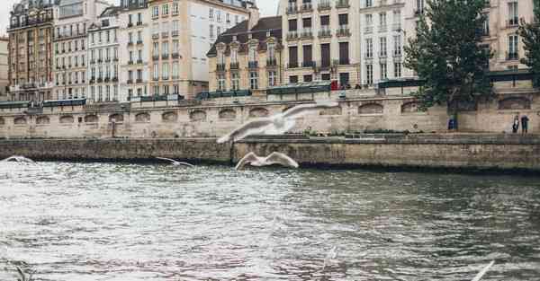 企业宣传片制作单位_企业宣传片制作app