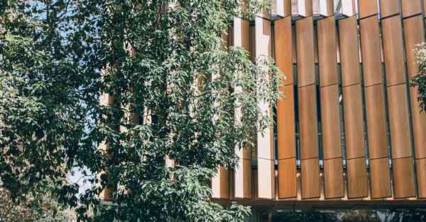 剪映 养生宣传片制作