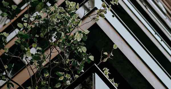 电商宣传片制作方案